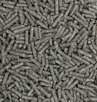 kachelnavi pferdefutter zucht